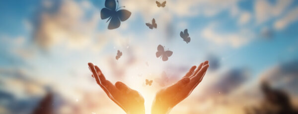 Himmel, geöffnete Hände und Schmetterlinge